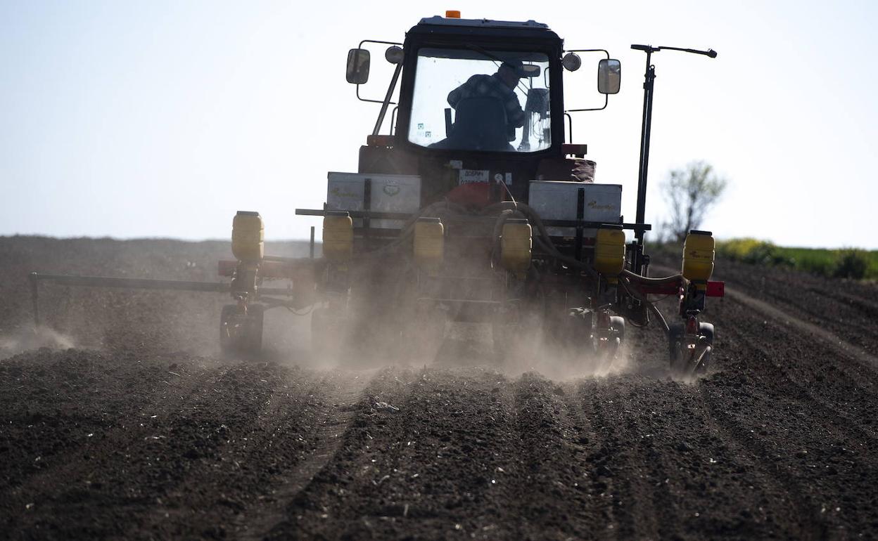 Imagen de un tractor en un campo de cultivo. 