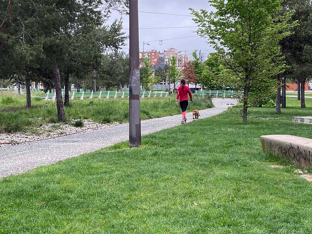 Primer día permitido para salir a pasear y hacer deporte.