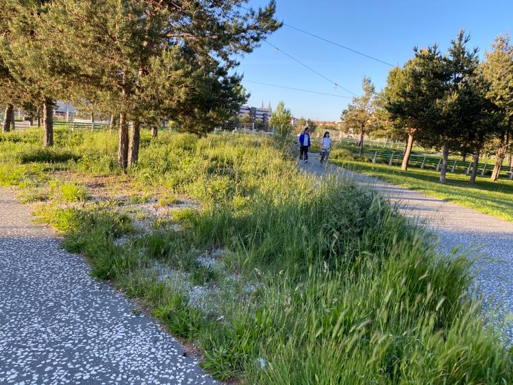 Fotos: Los parques y zonas verdes de Burgos se llenan cada tarde