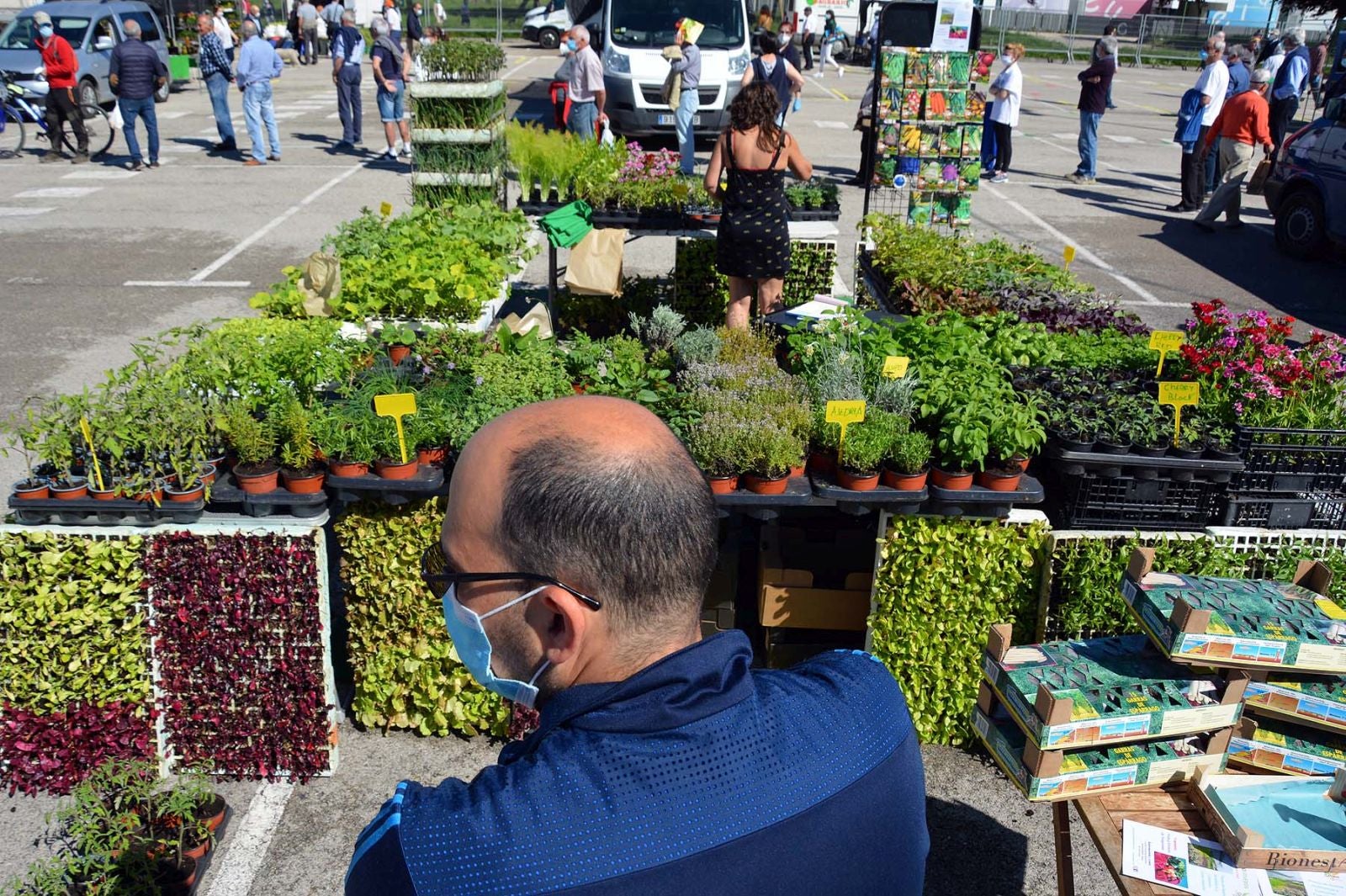 Fotos: Vuelve el mercado de Los Carros