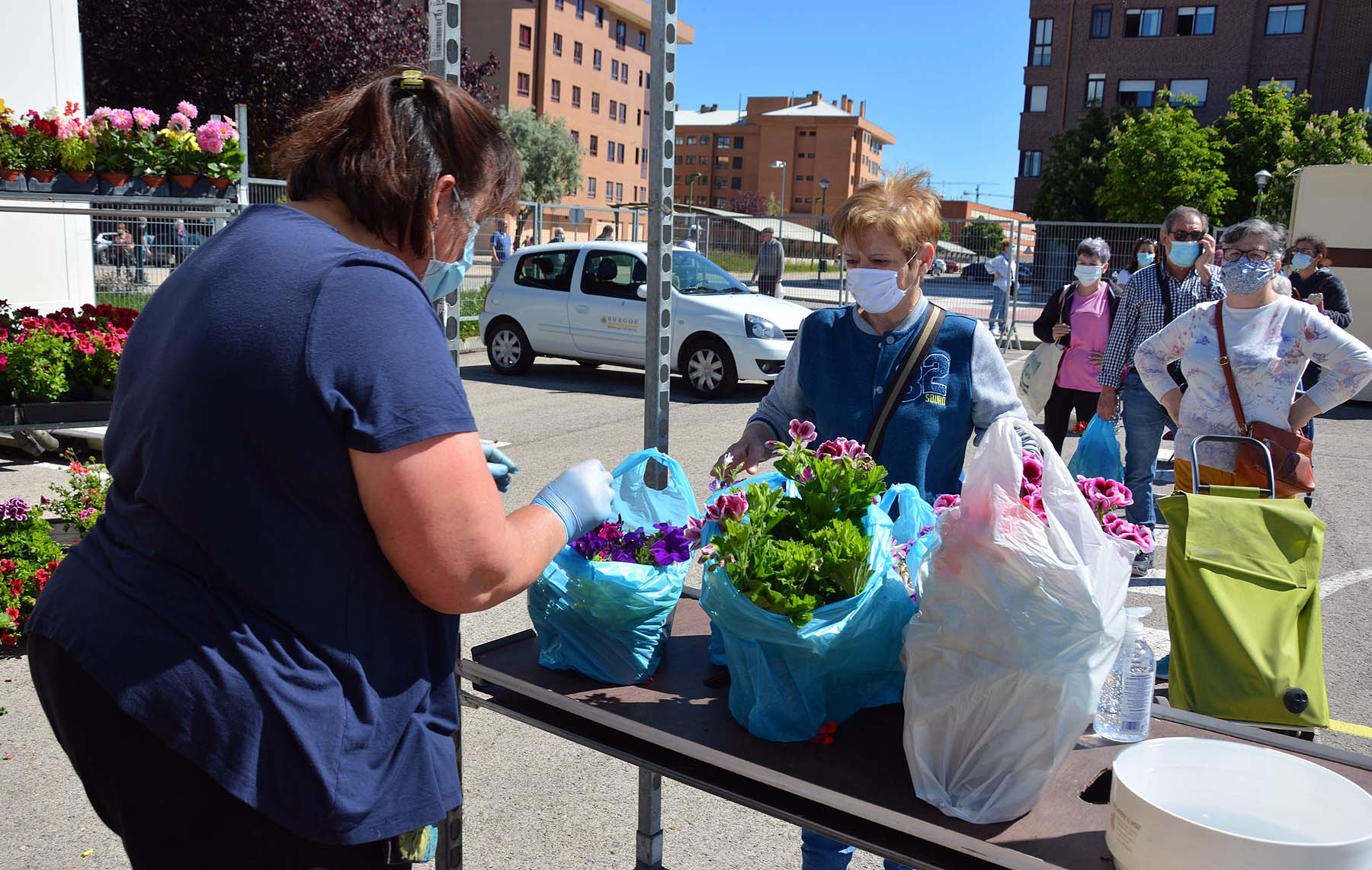 Fotos: Vuelve el mercado de Los Carros