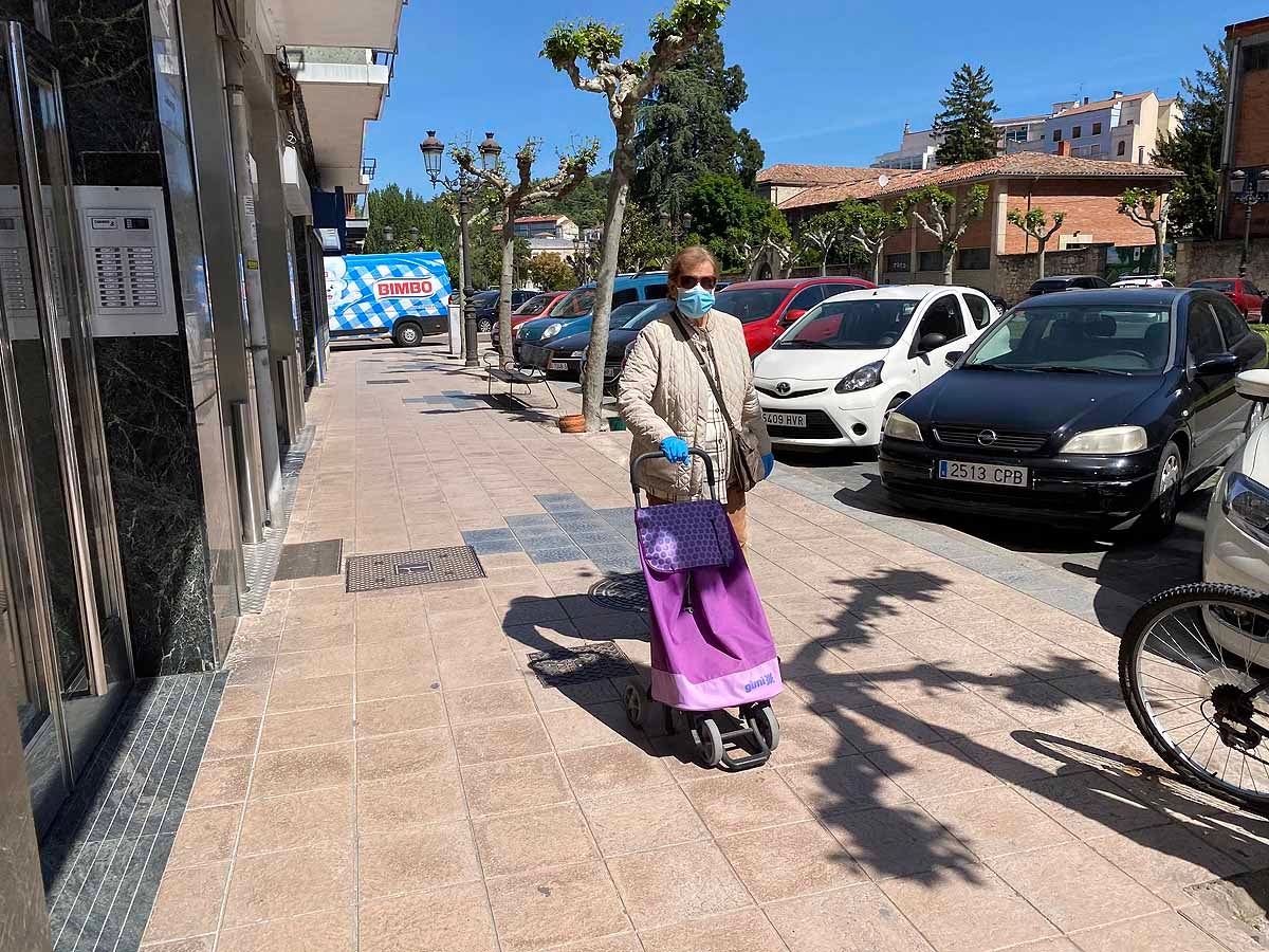 Fotos: Desfile de mascarillas en las calles de Burgos