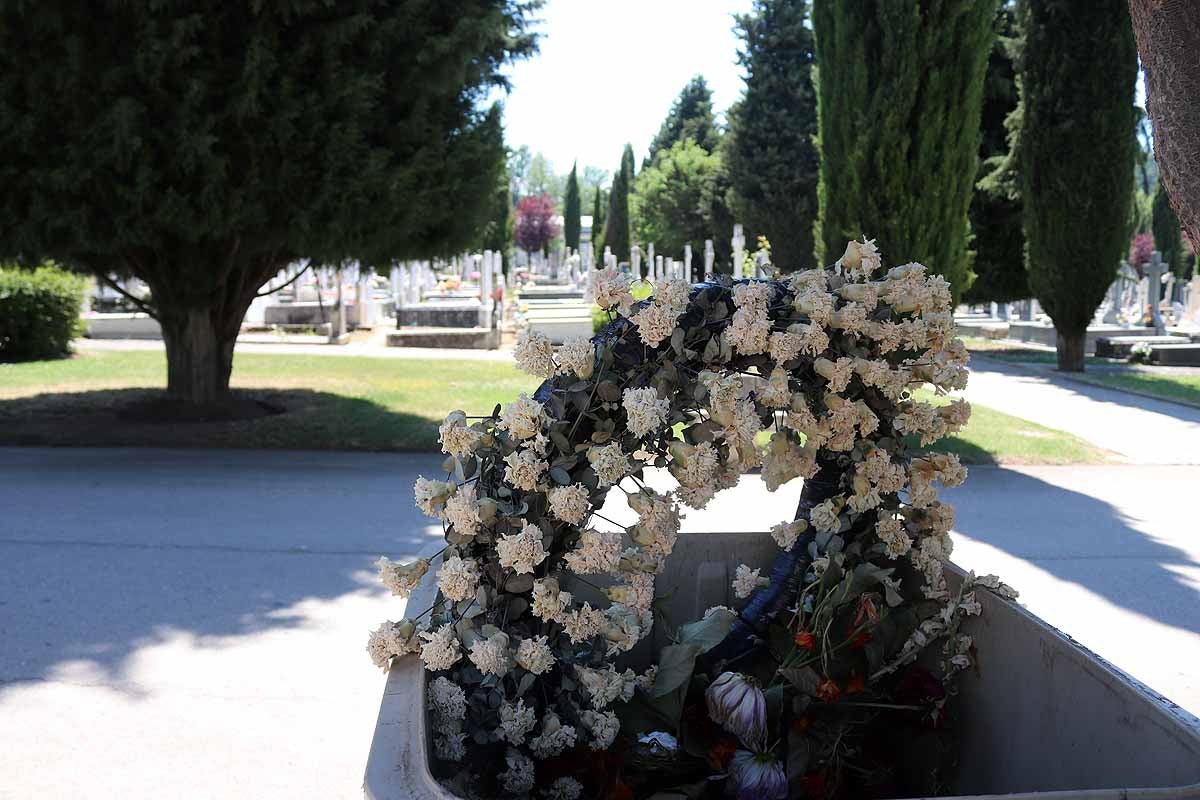 Las flores y los sentimientos regresan al cementerio San José de Burgos. 