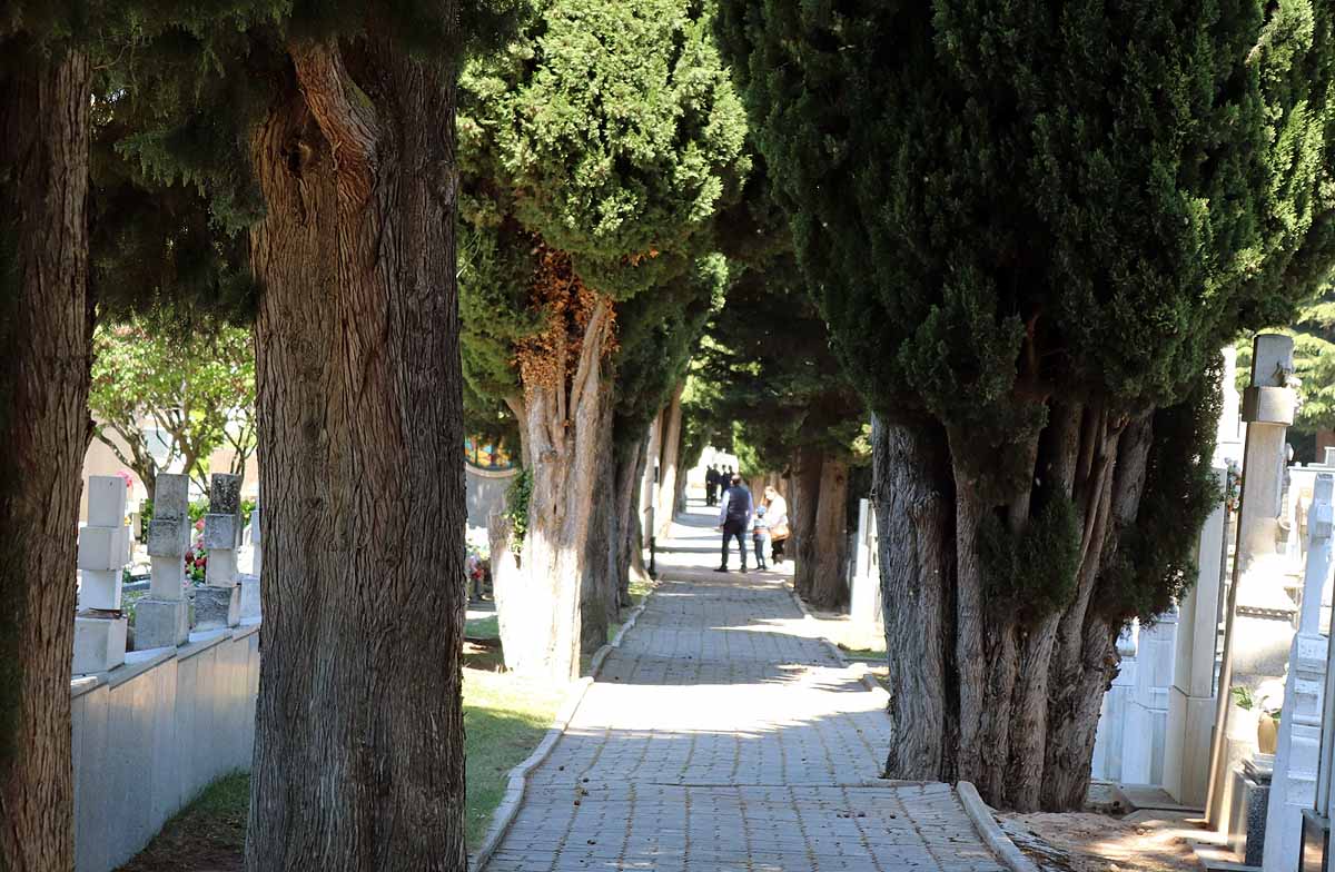 Las flores y los sentimientos regresan al cementerio San José de Burgos. 