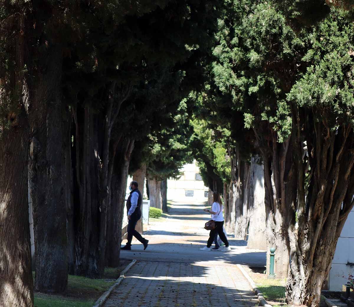 Las flores y los sentimientos regresan al cementerio San José de Burgos. 