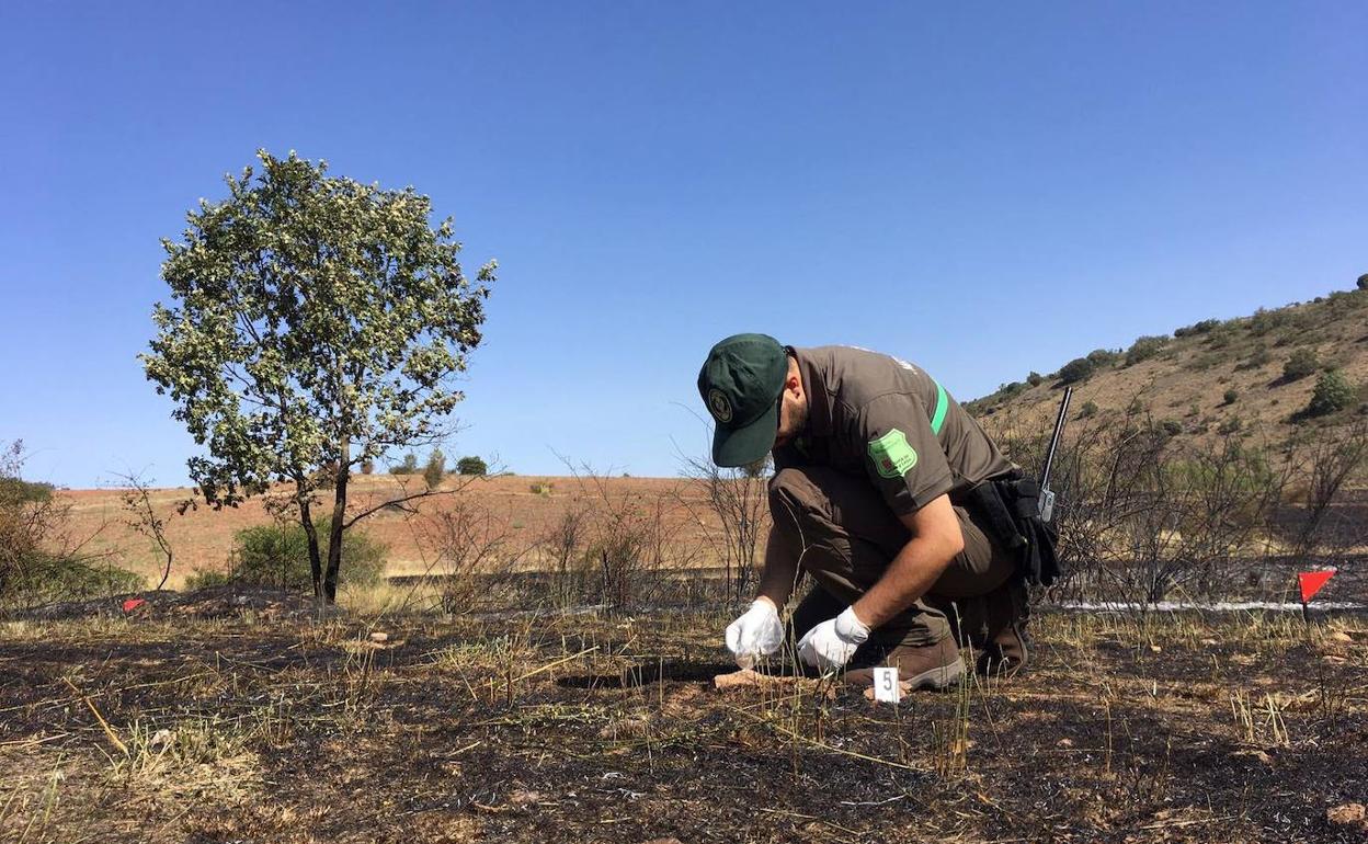 Un agente forestal investiga las causas de un incendio. 