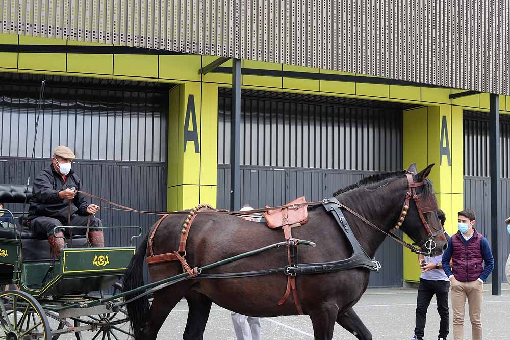 Fotos: El mundo del toro sale a la calle en Burgos para exigir libertad e igualdad de trato para aficionados y profesionales