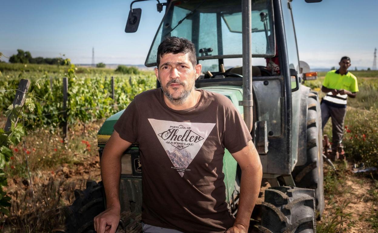 Juan Carlos García pasea por la vides de la Bodega Torremilanos en Ribera del Duero este domingo. 