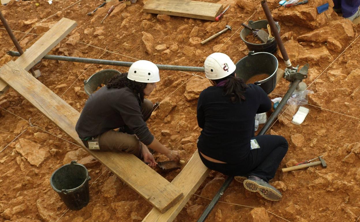 La de este año será una campaña de excavaciones atípica. 