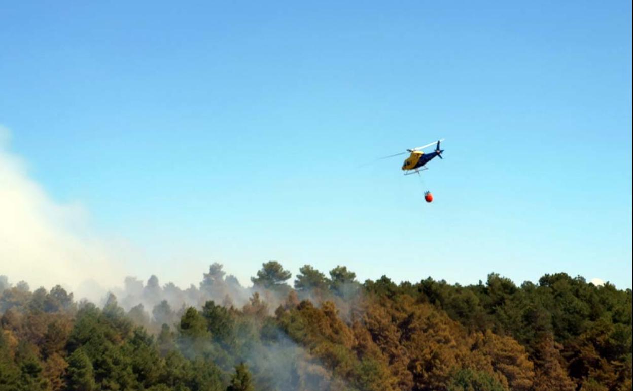 Imagen de archivo de una intervención en un incendio forestal.