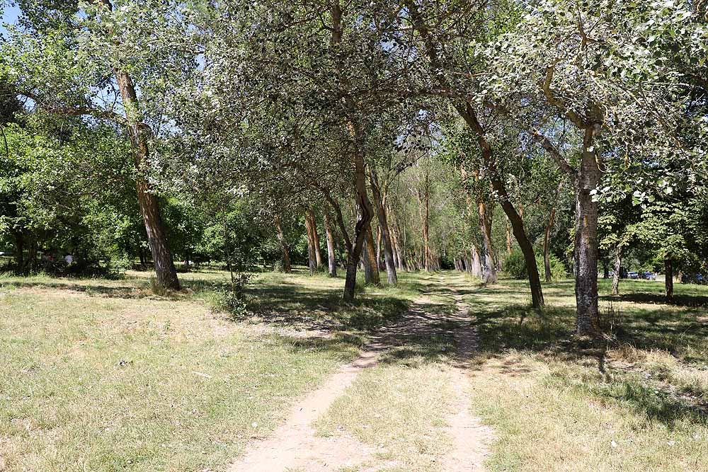 Fotos: Fuentes Blancas, como un domingo de verano cualquier el día del Burgalés Ausente