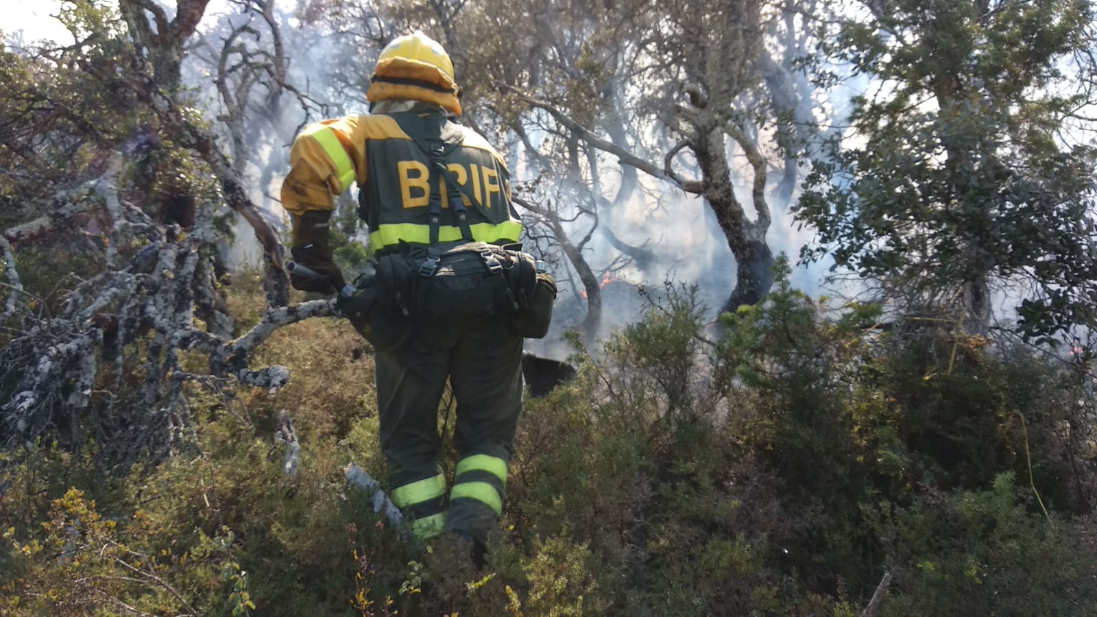 Fotos: Incendio en Junta de Traslaloma