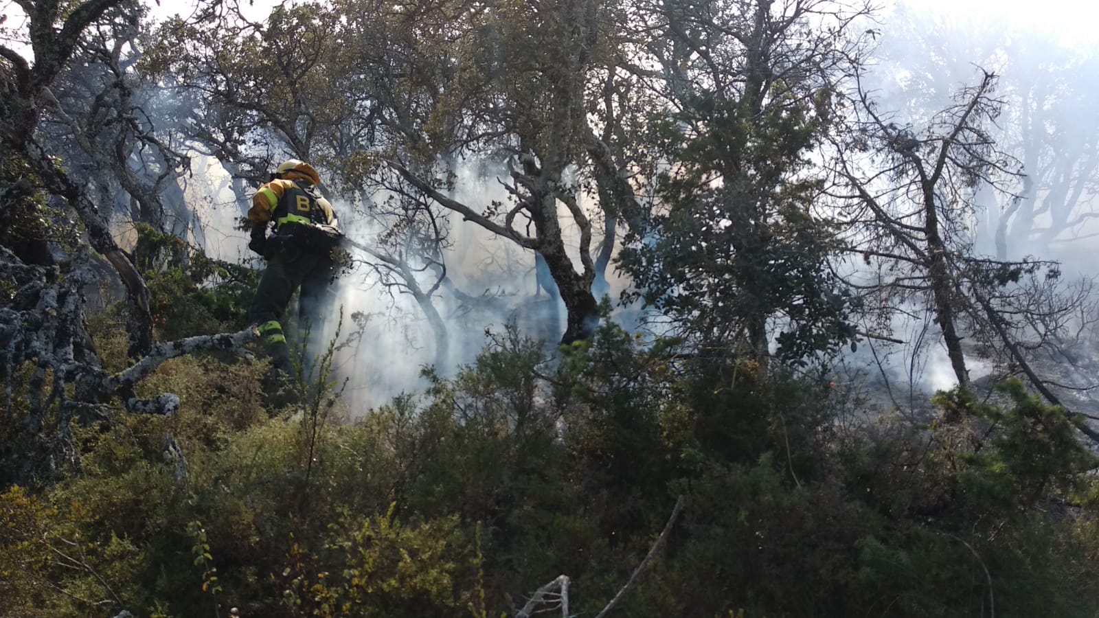 Fotos: Incendio en Junta de Traslaloma