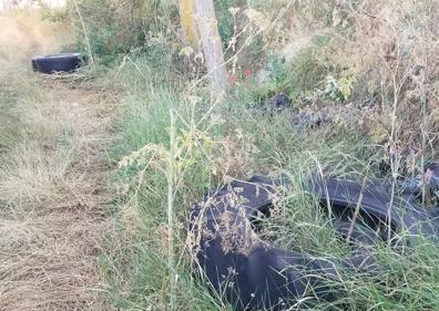 Imagen secundaria 1 - Ruedas de camión arrojadas en un camino cerca del barrio de Villatoro. 