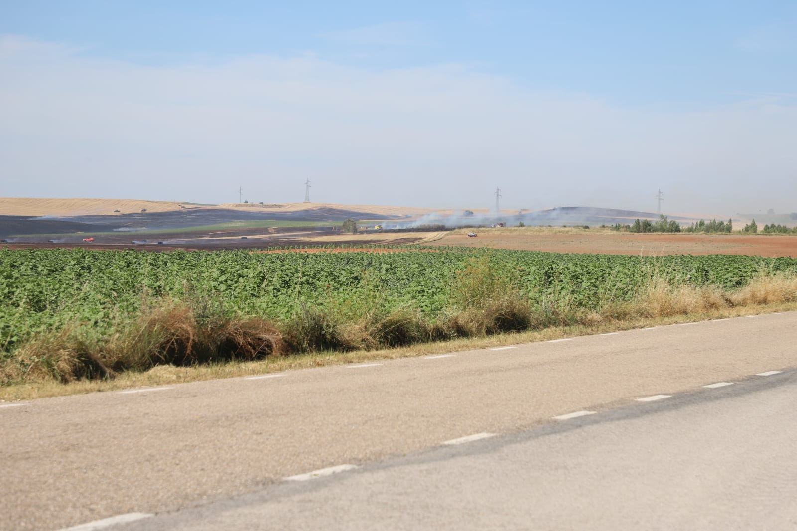 Fotos: Las llamas devoran una gran zona de terreno agrícola entre Arcos y Villangómez