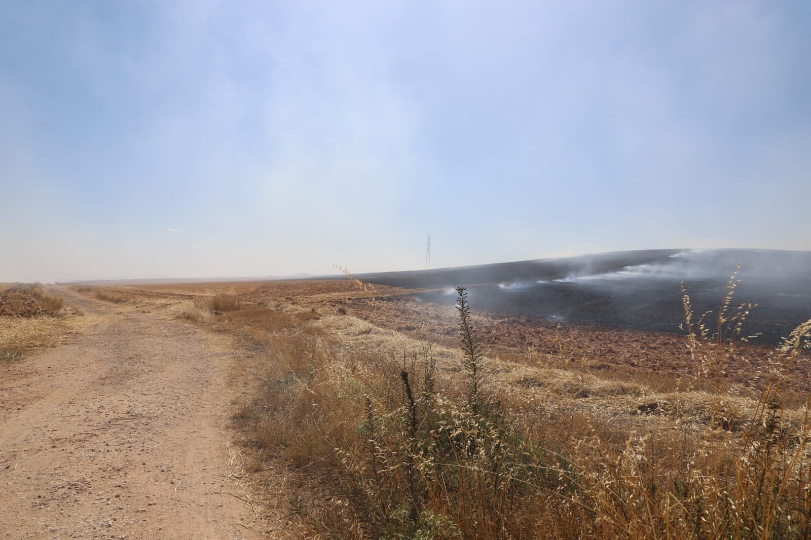 Fotos: Las llamas devoran una gran zona de terreno agrícola entre Arcos y Villangómez