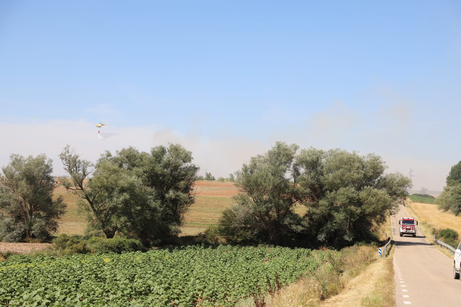 Fotos: Las llamas devoran una gran zona de terreno agrícola entre Arcos y Villangómez