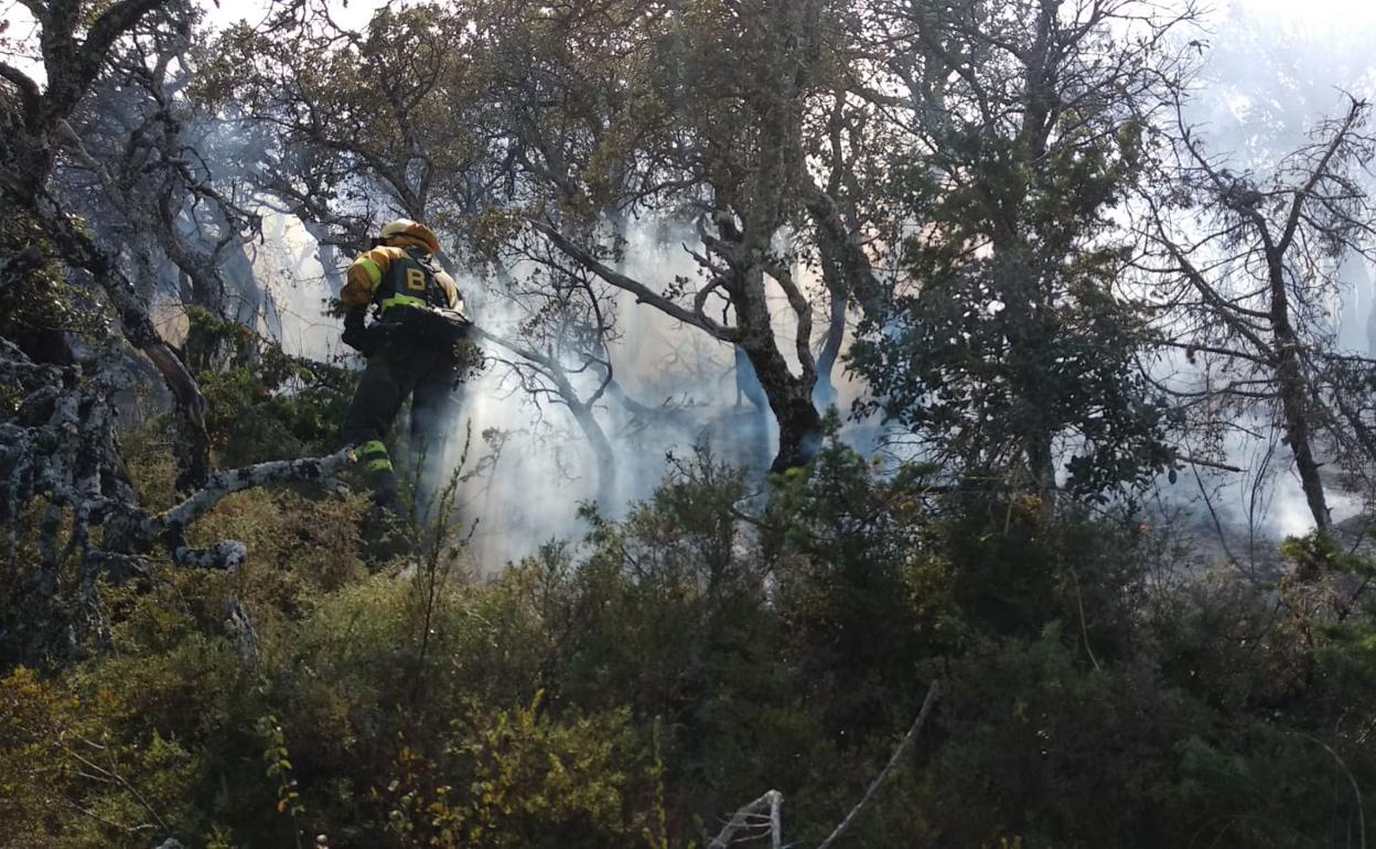 Imagen de la intervernción de la BRIF de Lubia (Soria) en el incendio de Colina.