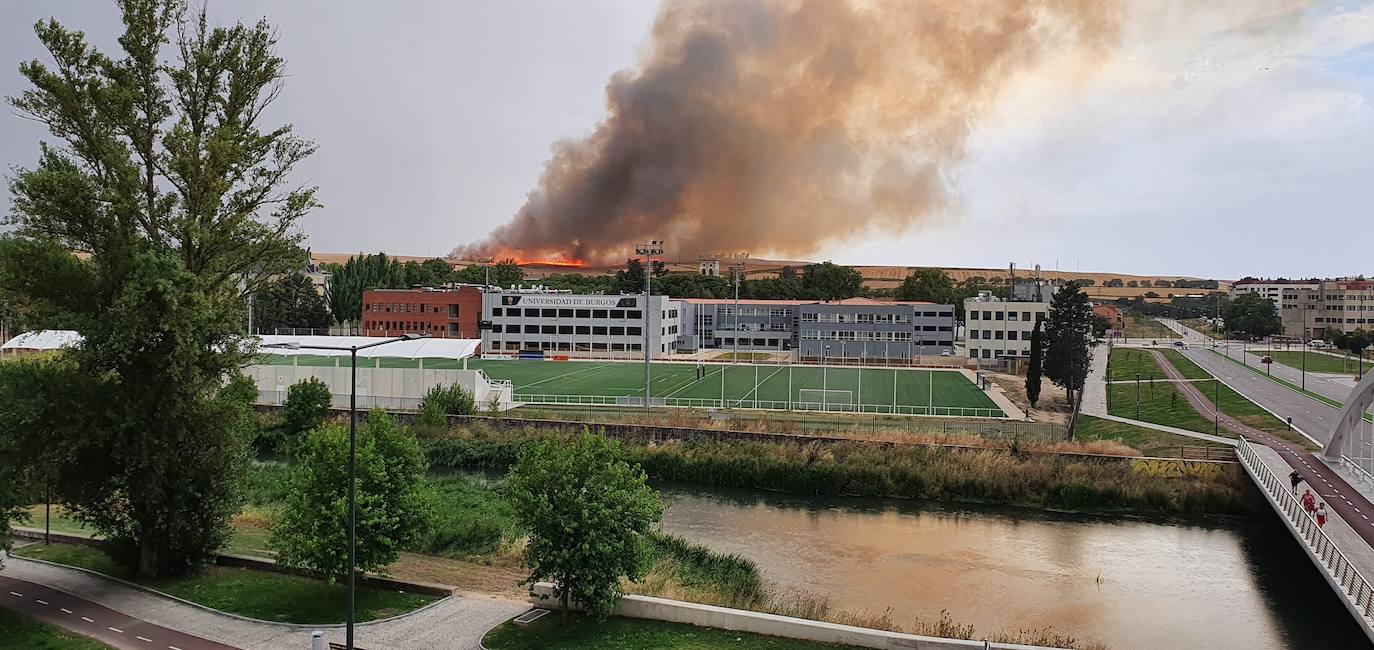 Fotos: Un incendio en Villagonzalo-Pedernales activa las alarmas en Burgos