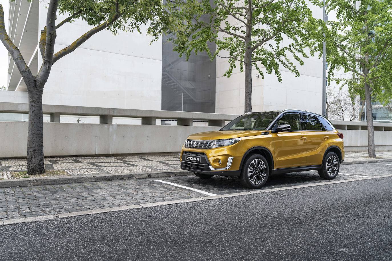 Fotos: Fotogalería: Suzuki Vitara 2020