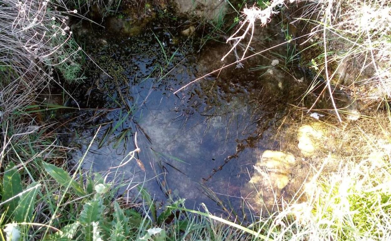 Una de las fuentes recuperadas, la Fuente de la Pulga, en Hontangas.