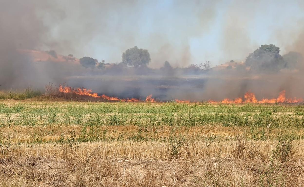 El fuego se ha originado a lo largo de la vía en la vega de Santa Cecilia.