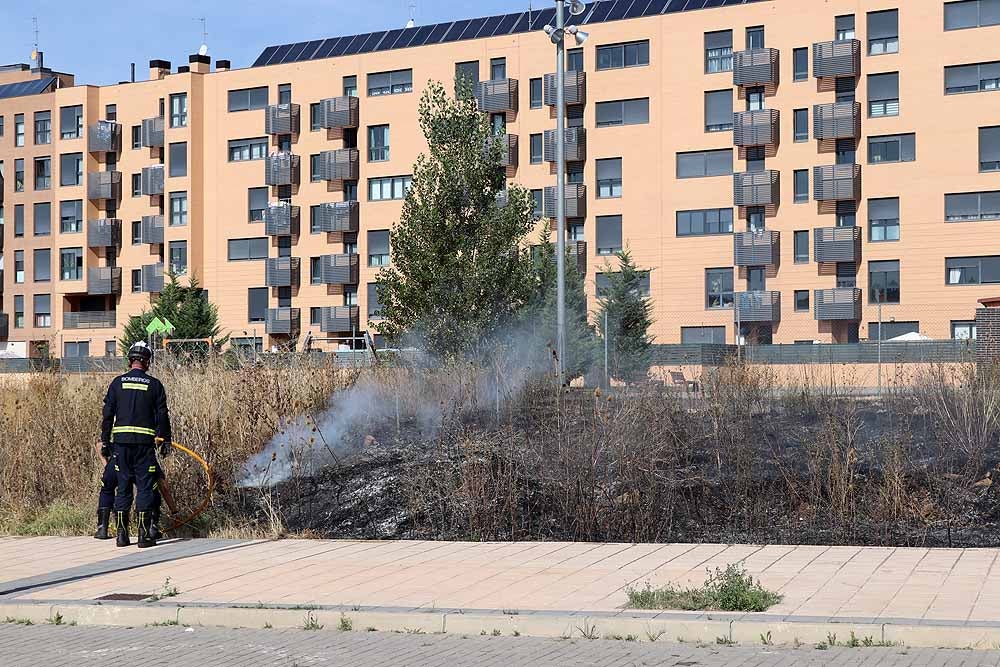 Fotos: Incendio de maleza en Fuentecillas