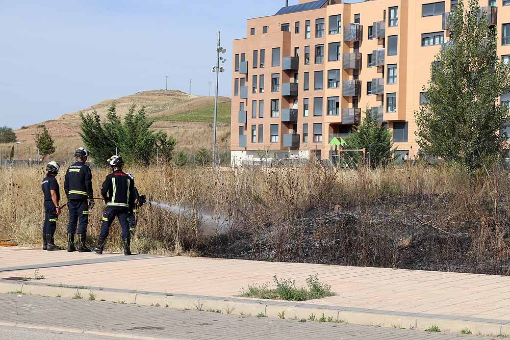 Fotos: Incendio de maleza en Fuentecillas