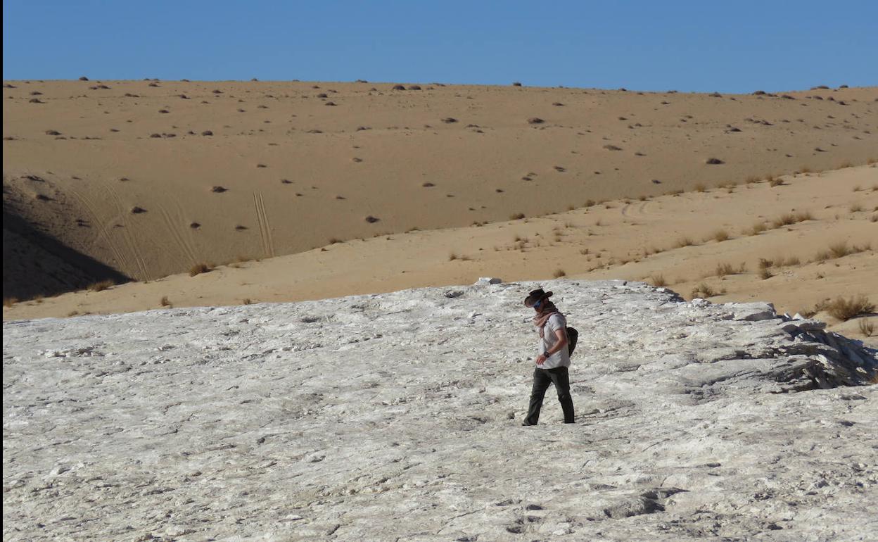 Investigador buscando huellas en los depósitos del paleolago.