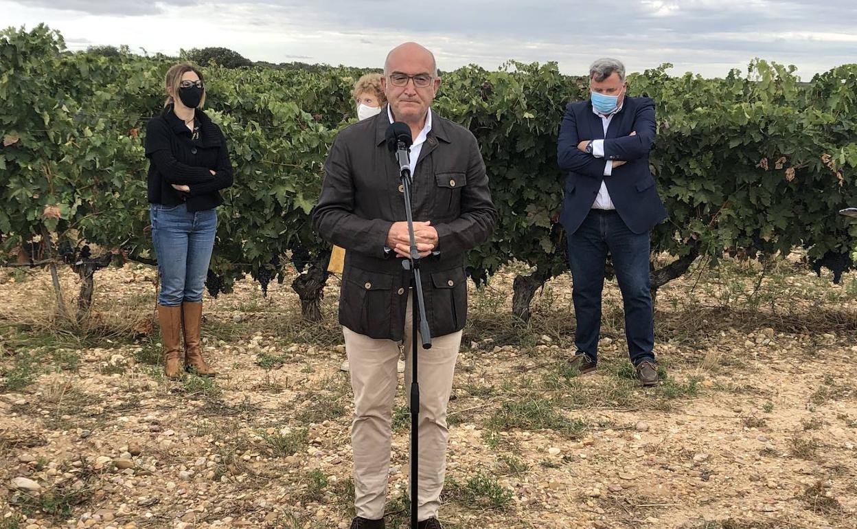 El consejero de Agricultura, Jesús Julio Carnero, ha visitado las labores de recolección en Bodegas Torremilanos en Aranda de Duero.