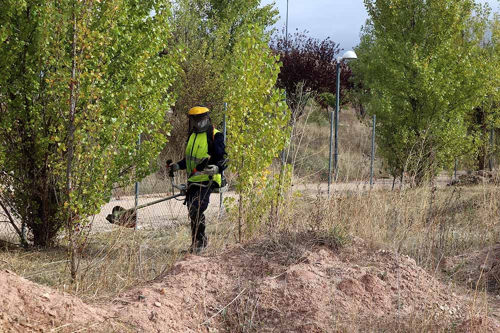 Fotos: Las brigadas del Plan de Empleo estarán limpiando y adecentando Burgos hasta febrero