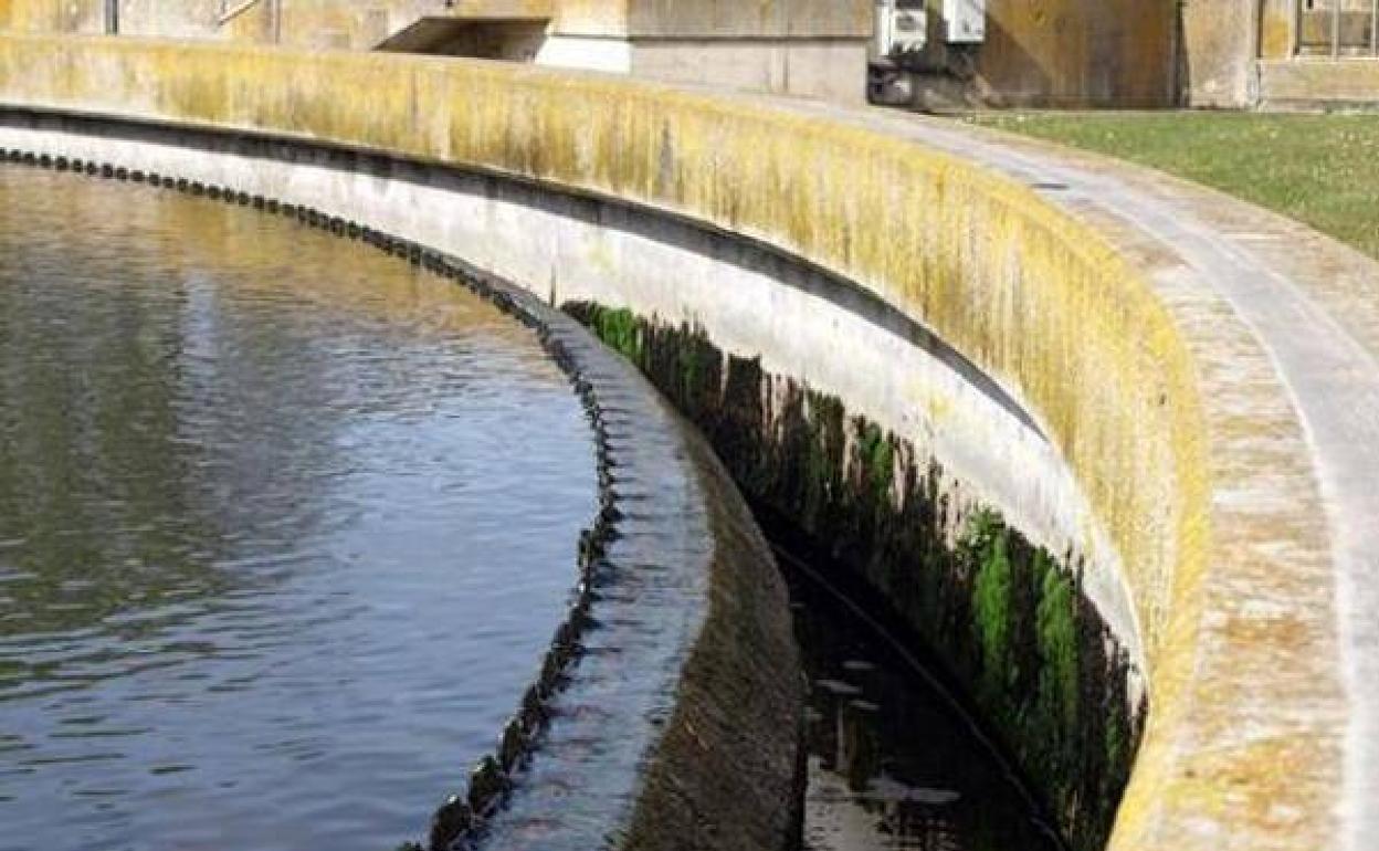 Se ha detectado la presencia del virus en las aguas residuales de toda la ciudad. 