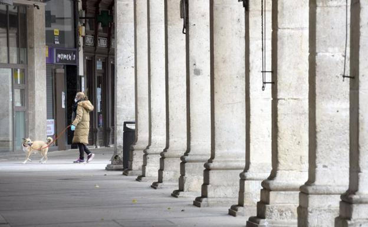 Toque de queda en Burgos: Pasear a las mascotas no es causa justificada para salir pasadas las 22 horas en Burgos