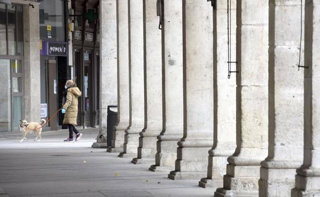 Pasear a las mascotas no es causa justificada para salir pasadas las 22 horas en Burgos