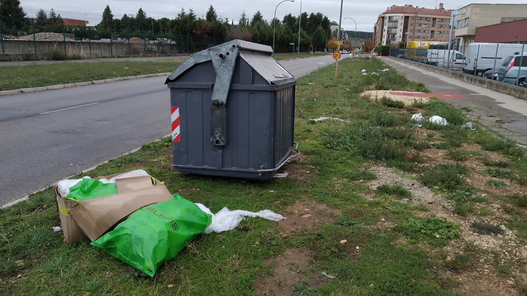 Fotos: Los empresarios del polígono Burgos Este reclaman más limpieza