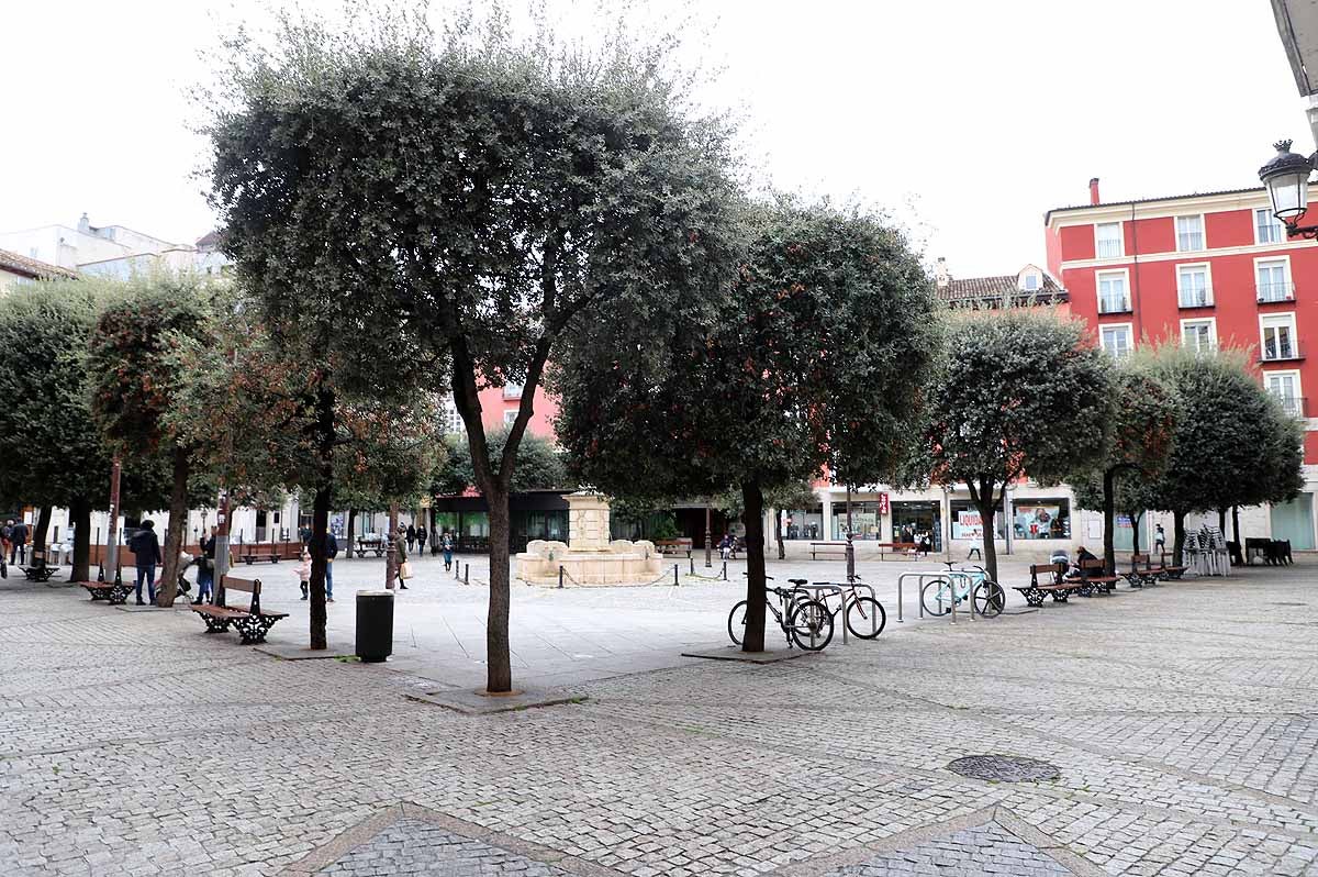 Fotos: Las compras y los paseos de mañana llegan las calles de Burgos un sábado sin hostelería