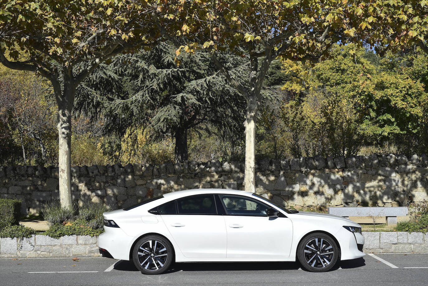 Fotos: Fotogalería: Peugeot 508 HYbrid