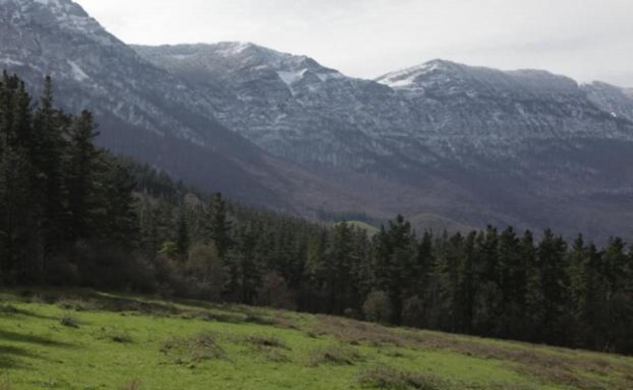 Imagen de un Monte de Utilidad Pública de la provincia de Burgos. 