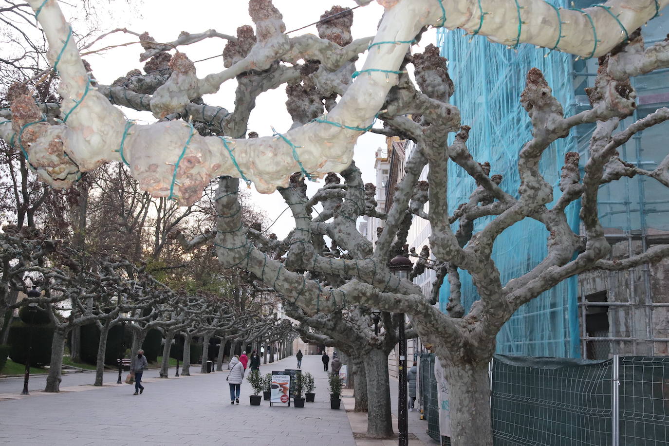 Fotos: Las luces de Navidad se encenderán el 4 de diciembre
