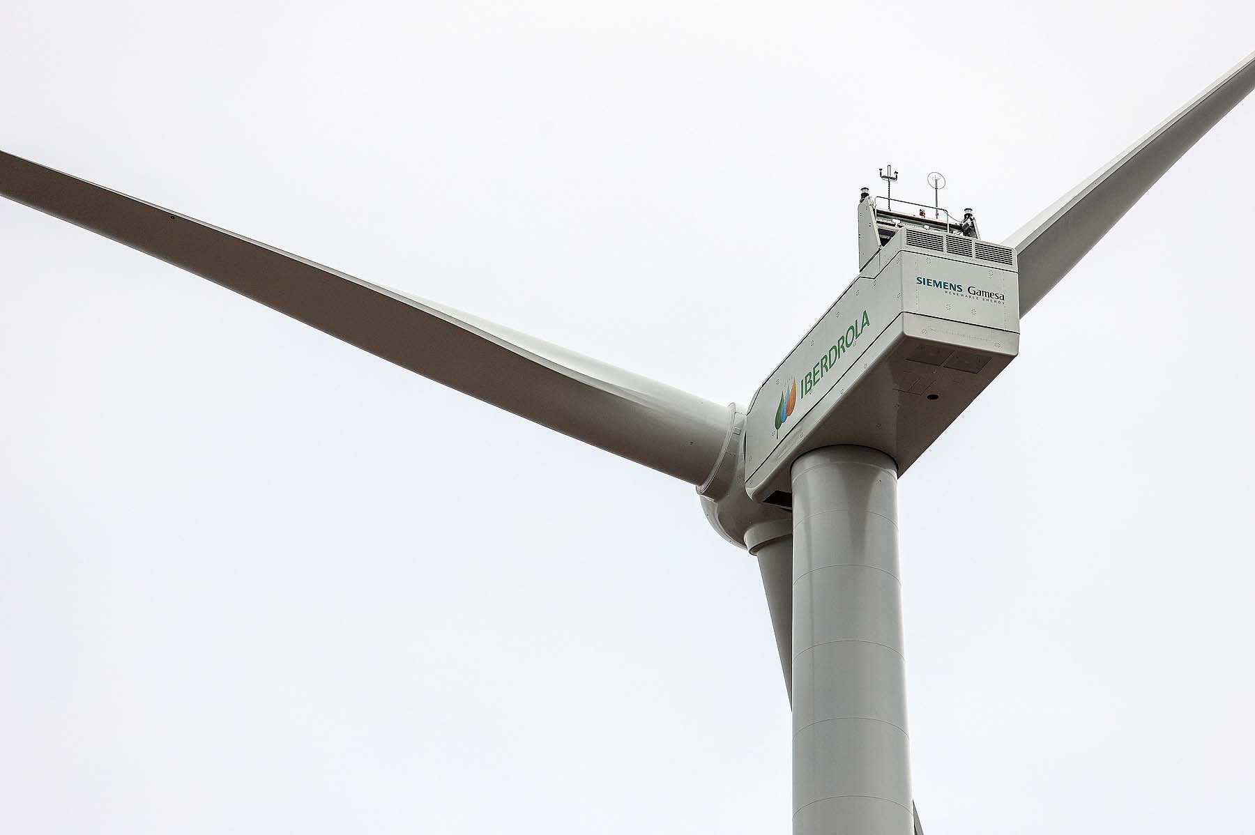 Fotos: Los aerogeneradores s más potentes de España ya miran al cielo burgalés