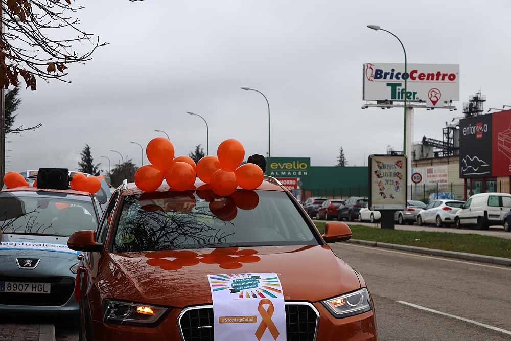 Fotos: Una caravana de coches contra la Ley Celaá recorre las calles de Burgos