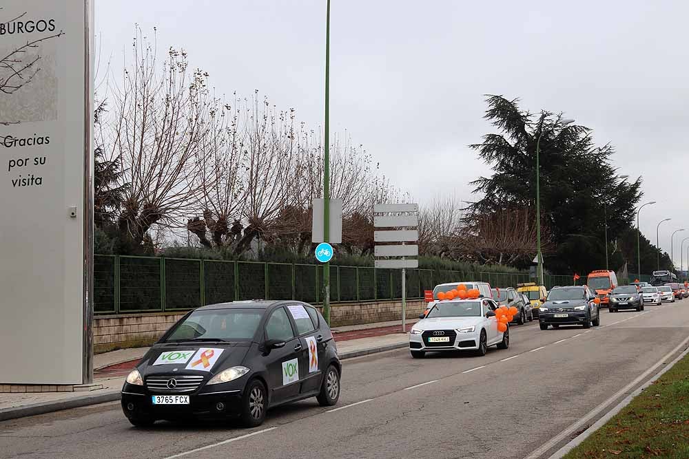 Fotos: Una caravana de coches contra la Ley Celaá recorre las calles de Burgos