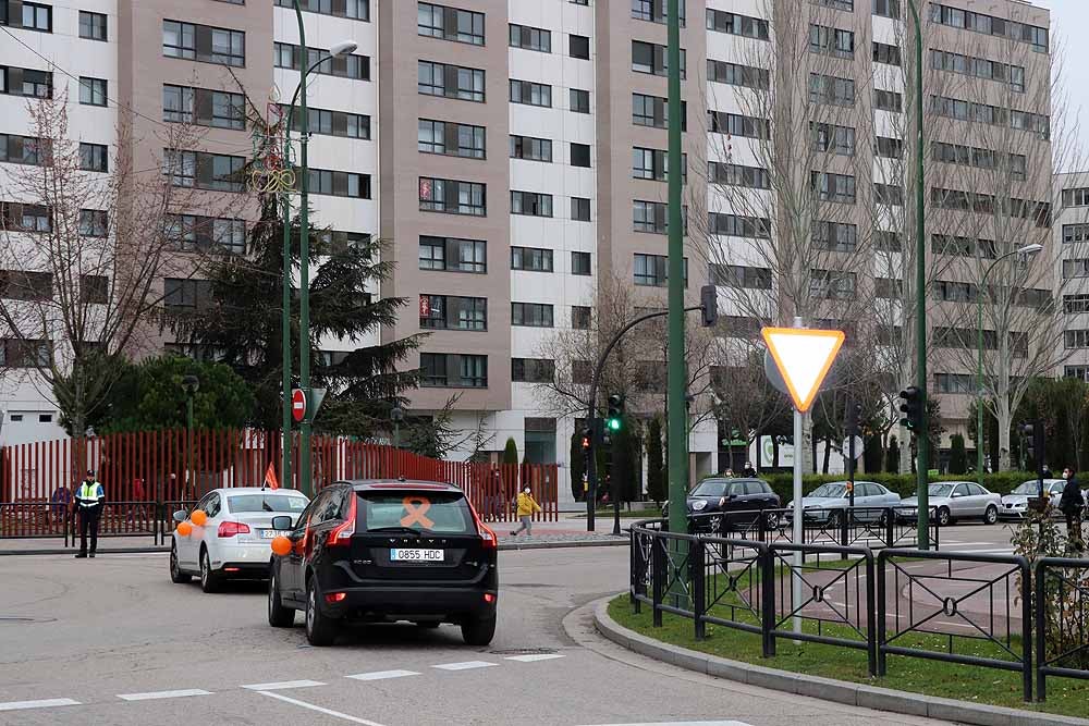 Fotos: Una caravana de coches contra la Ley Celaá recorre las calles de Burgos