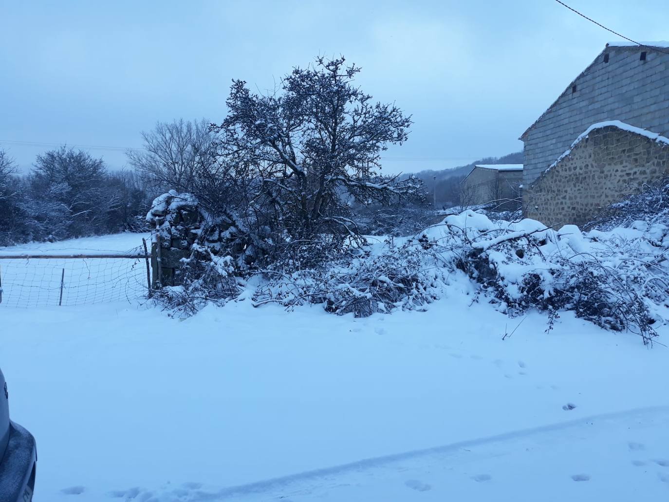 Fotos: La primera nevada del año en la provincia