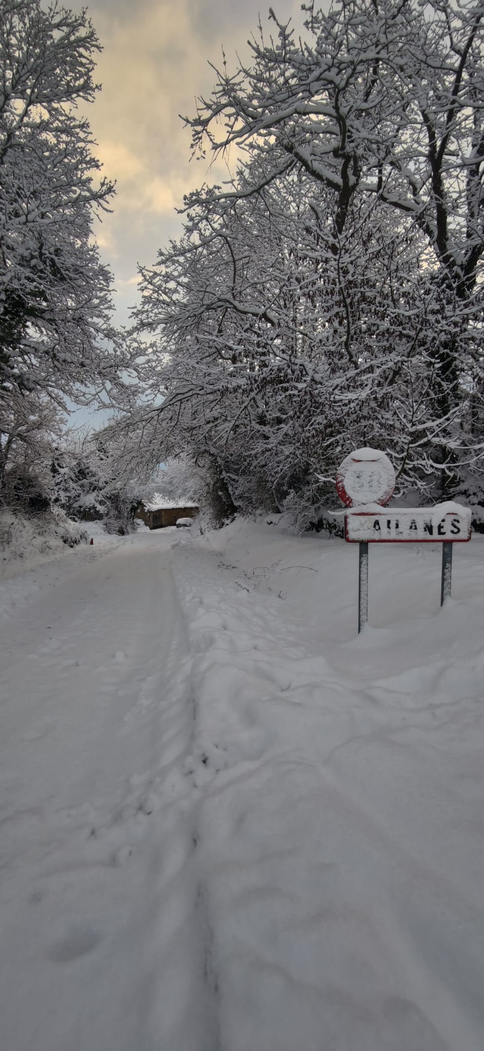 Ailanes de Zamanzas