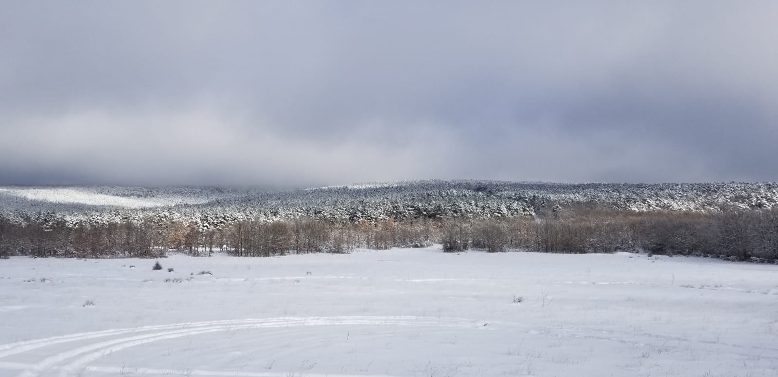 Campos de Palacios de la Sierra