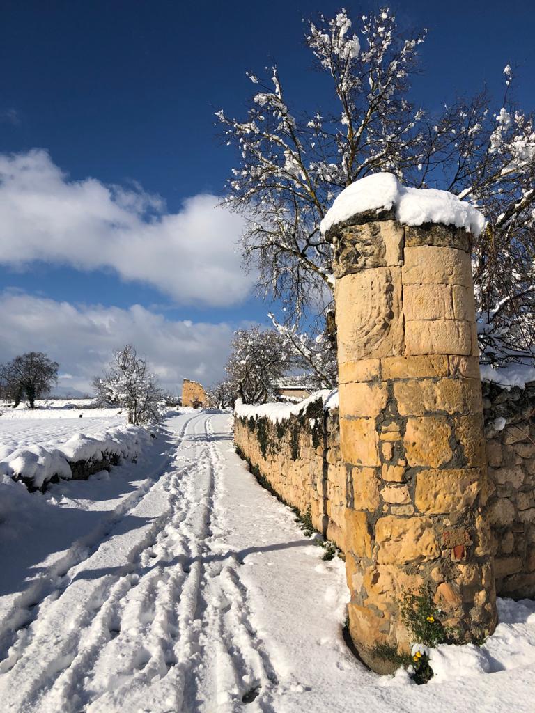 La nieve está dejando estampas espectaculares en la provincia, como esta de Extramiana. 