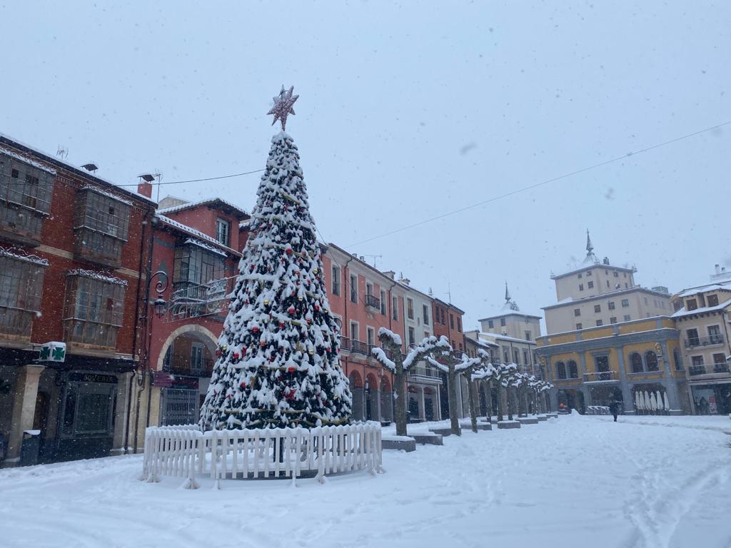 Fotos: Aranda de Duero se levanta cubierta de nieve