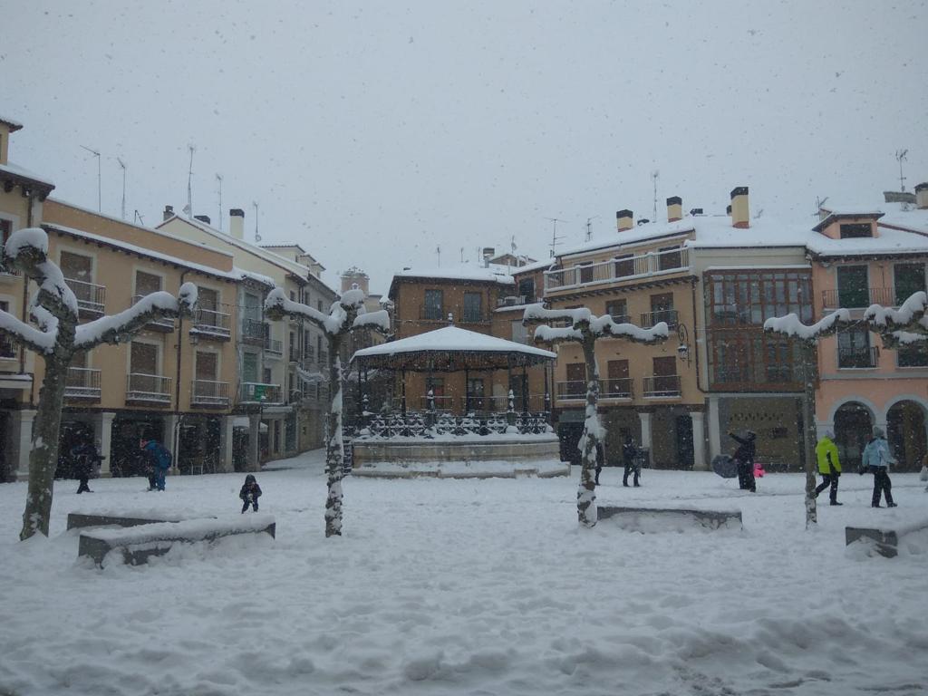 Fotos: Aranda de Duero se levanta cubierta de nieve