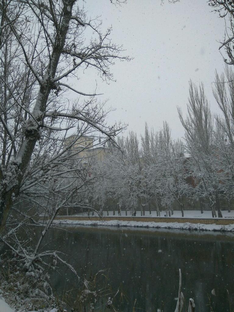 Fotos: Aranda de Duero se levanta cubierta de nieve